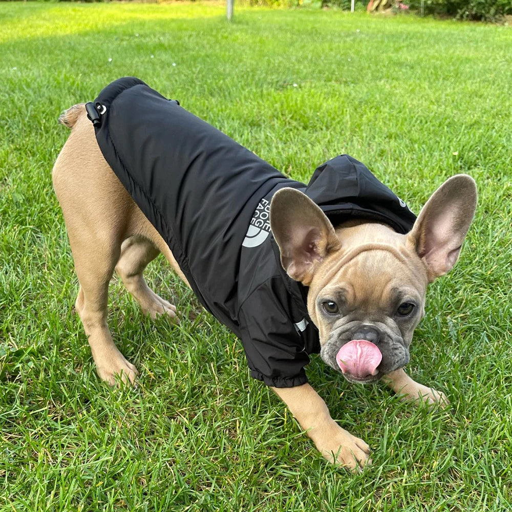 Autumn & Winter Waterproof Coat with Cotton Hooded Jacket