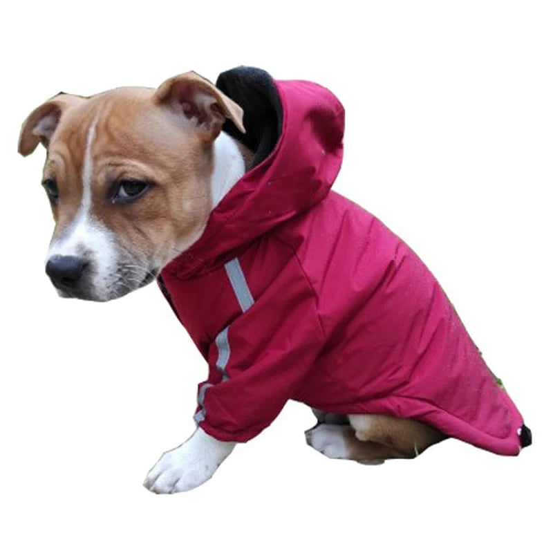 Autumn & Winter Waterproof Coat with Cotton Hooded Jacket