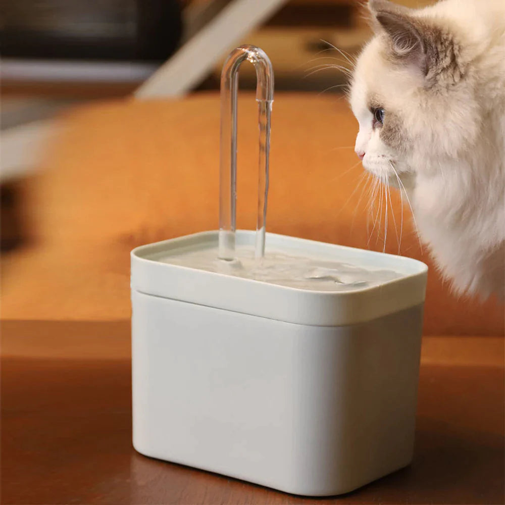 Cat Water Fountain Dispenser, Auto Filter USB Electric Mute Cat Drinker Bowl 