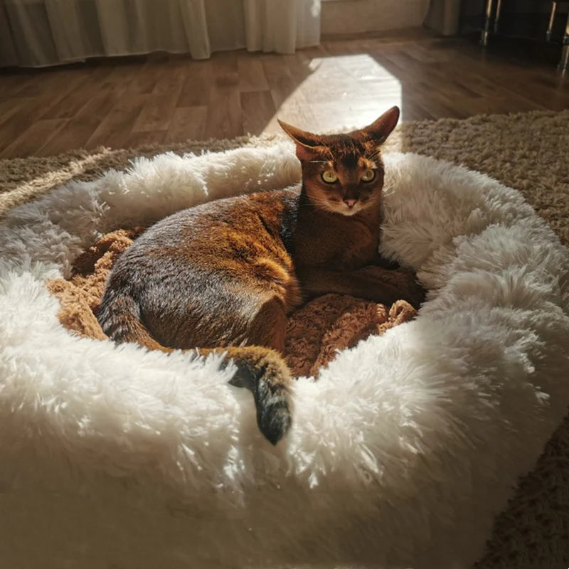 Super Soft Dog / Cat Bed (Medium & Large available) 